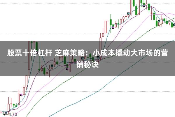 股票十倍杠杆 芝麻策略：小成本撬动大市场的营销秘诀