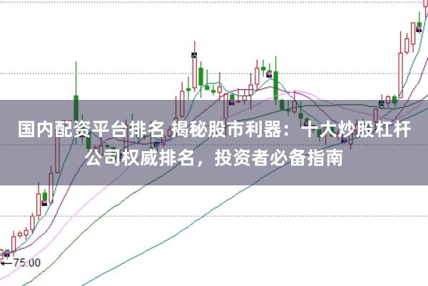 国内配资平台排名 揭秘股市利器：十大炒股杠杆公司权威排名，投资者必备指南