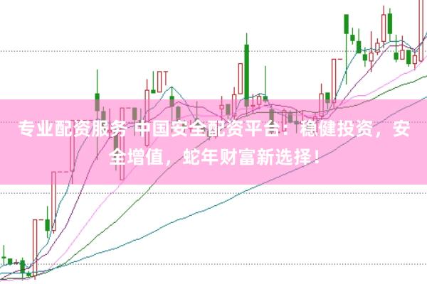 专业配资服务 中国安全配资平台：稳健投资，安全增值，蛇年财富新选择！