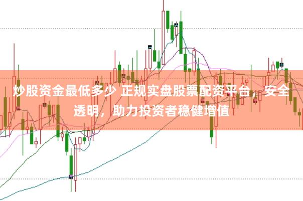 炒股资金最低多少 正规实盘股票配资平台，安全透明，助力投资者稳健增值