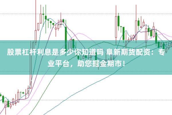 股票杠杆利息是多少你知道吗 阜新期货配资：专业平台，助您掘金期市！