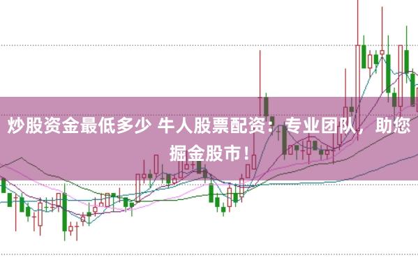 炒股资金最低多少 牛人股票配资：专业团队，助您掘金股市！