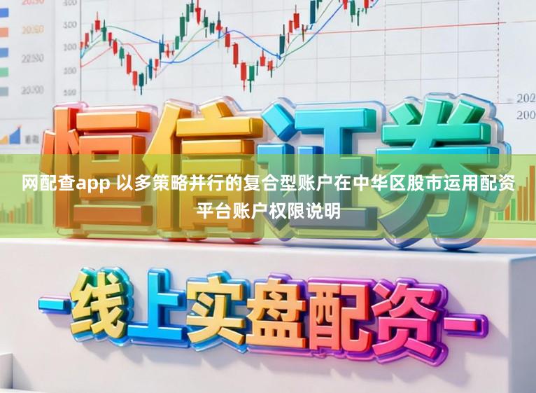 网配查app 以多策略并行的复合型账户在中华区股市运用配资平台账户权限说明