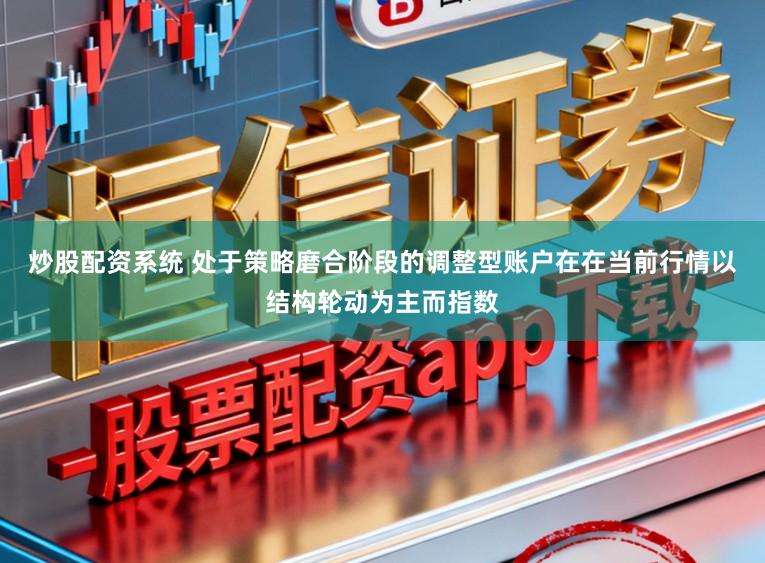 炒股配资系统 处于策略磨合阶段的调整型账户在在当前行情以结构轮动为主而指数