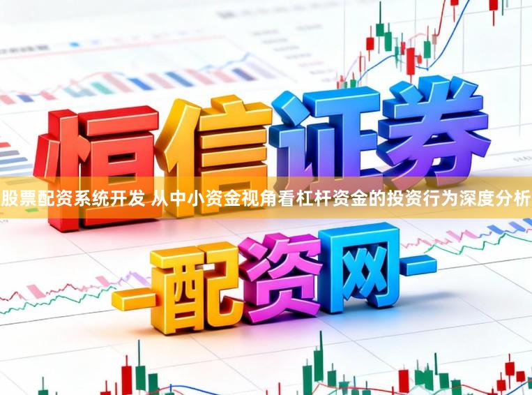 股票配资系统开发 从中小资金视角看杠杆资金的投资行为深度分析